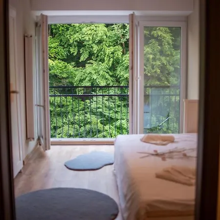 Forest Therapy - Sub Padure Grand Comfort Brasov