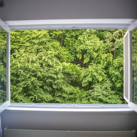Apartment Forest Therapy - Sub Padure Grand Comfort Brasov