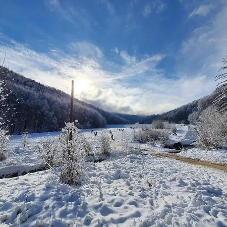 Forest Therapy - Sub Padure Grand Comfort Apartament